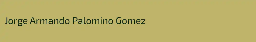 Jorge Armando Palomino Gomez